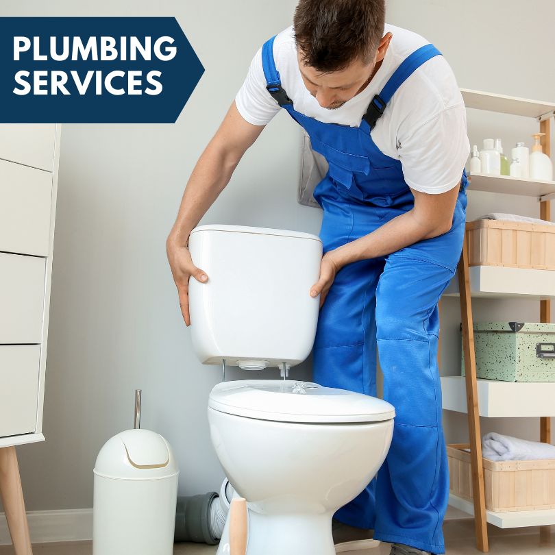 Plumbing Company in Mooseheart, IL